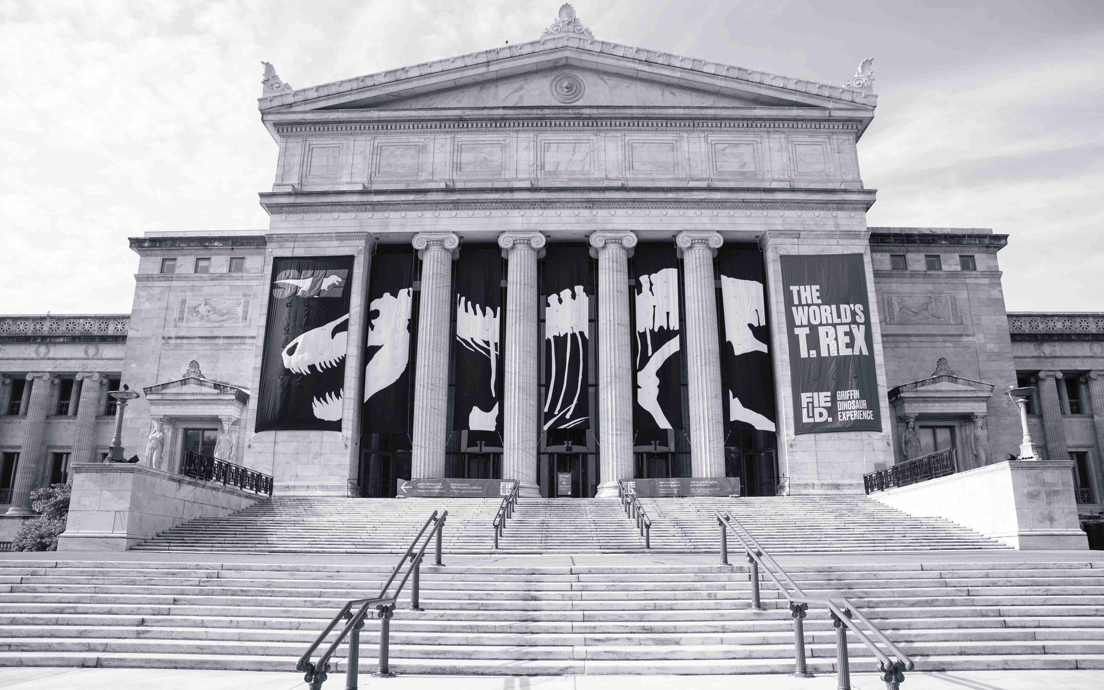 Image of the Field Museum's South Entrance with T-Rex Banner